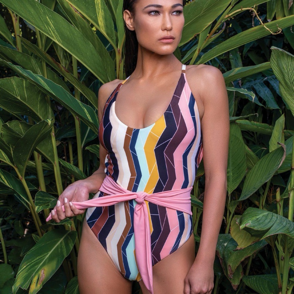 Swiminista Christian LaCroix Multicolor Chevron Swimsuit with Pink Tie